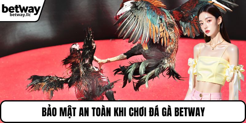 Bảo mật an toàn khi chơi đá gà BETWAY