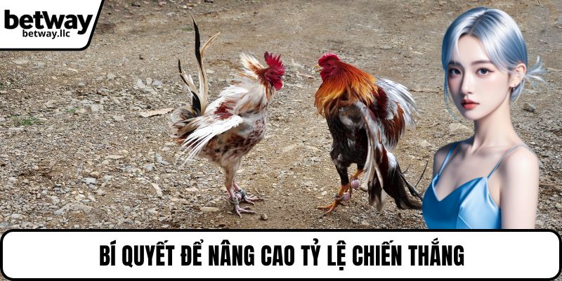Bí quyết để nâng cao tỷ lệ chiến thắng