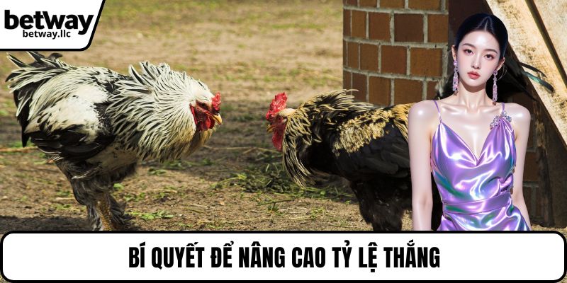 Bí quyết để nâng cao tỷ lệ thắng