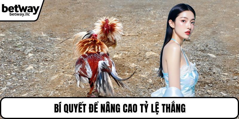 Bí quyết để nâng cao tỷ lệ thắng