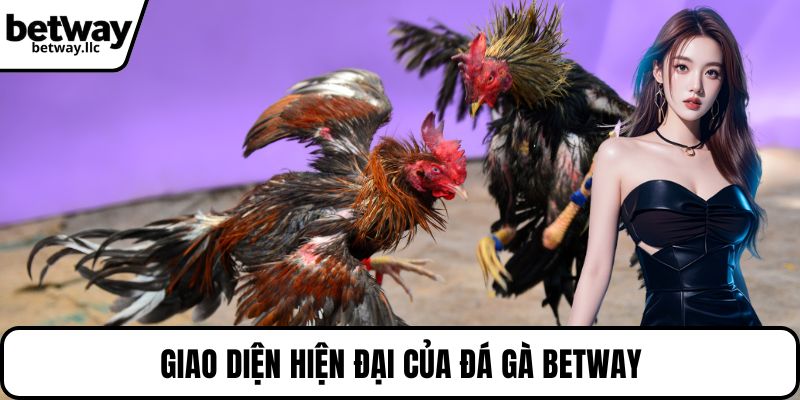 Giao diện hiện đại của đá gà BETWAY