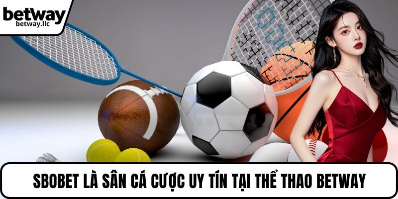 SBOBET là sân cá cược uy tín tại thể thao BETWAY
