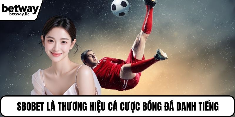 SBOBET là thương hiệu cá cược bóng đá danh tiếng